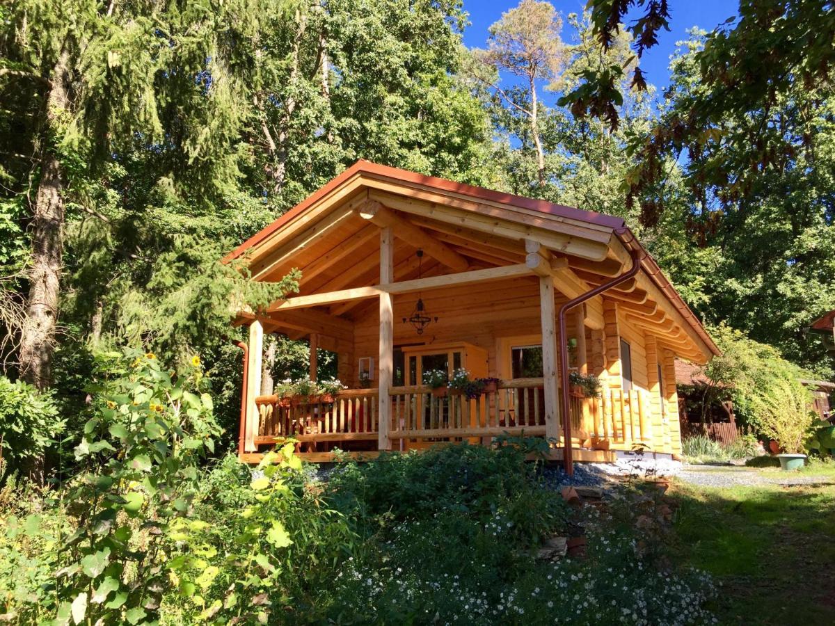 Blockhaus Chalet mit eigenem Badefass und Infrarotsauna auf der Terrasse Oberschützen Exterior foto